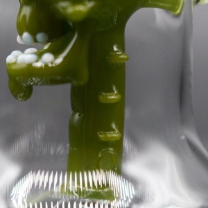 satin-green-uv-timber-skull-tube10