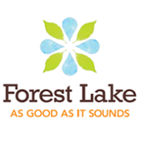 Forest Lake Arts In The Park - 03.08.2021
